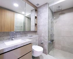Stirling Residences (D3), Apartment #465677031